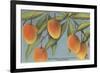 Mangoes, Ft. Myers, Florida-null-Framed Art Print