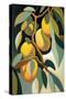 Mangos-Lea Faucher-Stretched Canvas