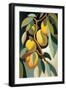 Mangos-Lea Faucher-Framed Art Print