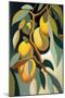 Mangos-Lea Faucher-Mounted Art Print