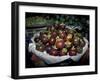 Mangosteen Fruit, Cambodia-Russell Young-Framed Premium Photographic Print