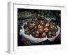 Mangosteen Fruit, Cambodia-Russell Young-Framed Photographic Print