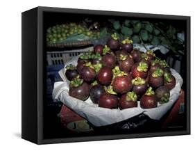 Mangosteen Fruit, Cambodia-Russell Young-Framed Stretched Canvas