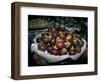 Mangosteen Fruit, Cambodia-Russell Young-Framed Photographic Print