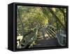 Mangrove Boardwalk, Botanic Gardens, Brisbane, Queensland, Australia-David Wall-Framed Stretched Canvas