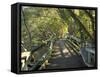 Mangrove Boardwalk, City Botanic Gardens, Brisbane, Queensland, Australia-David Wall-Framed Stretched Canvas