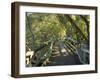 Mangrove Boardwalk, City Botanic Gardens, Brisbane, Queensland, Australia-David Wall-Framed Photographic Print