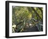 Mangrove Boardwalk, City Botanic Gardens, Brisbane, Queensland, Australia-David Wall-Framed Photographic Print