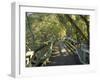 Mangrove Boardwalk, City Botanic Gardens, Brisbane, Queensland, Australia-David Wall-Framed Photographic Print