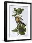 Black Frame