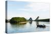 Mangrove Forest on Krabi Estuary, Krabi, Thailand, Southeast Asia, Asia-Christian Kober-Stretched Canvas