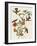 Mangrove Hummingbird-null-Framed Giclee Print