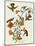Mangrove Hummingbird-null-Mounted Giclee Print