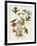 Mangrove Hummingbird-null-Framed Premium Giclee Print