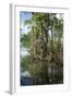 Mangrove, Los Haitises National Park, Dominican Republic-Natalie Tepper-Framed Photo