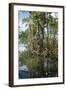 Mangrove, Los Haitises National Park, Dominican Republic-Natalie Tepper-Framed Photo