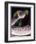 Mangrove Pit Viper, Native to Eastern India, Southern Burma-David Northcott-Framed Photographic Print