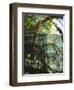 Mangrove Roots, Seychelles, Indian Ocean-Louise Murray-Framed Photographic Print