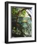 Mangrove Roots, Seychelles, Indian Ocean-Louise Murray-Framed Photographic Print