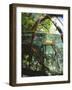 Mangrove Roots, Seychelles, Indian Ocean-Louise Murray-Framed Photographic Print