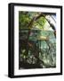 Mangrove Roots, Seychelles, Indian Ocean-Louise Murray-Framed Photographic Print