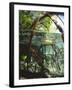 Mangrove Roots, Seychelles, Indian Ocean-Louise Murray-Framed Photographic Print