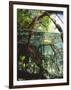 Mangrove Roots, Seychelles, Indian Ocean-Louise Murray-Framed Photographic Print