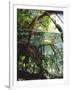 Mangrove Roots, Seychelles, Indian Ocean-Louise Murray-Framed Photographic Print