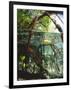 Mangrove Roots, Seychelles, Indian Ocean-Louise Murray-Framed Photographic Print