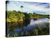 Mangrove Wetland Habitat, Merritt Island National Wildlife Refuge, Florida, USA-Adam Jones-Stretched Canvas