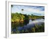 Mangrove Wetland Habitat, Merritt Island National Wildlife Refuge, Florida, USA-Adam Jones-Framed Photographic Print