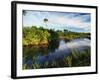 Mangrove Wetland Habitat, Merritt Island National Wildlife Refuge, Florida, USA-Adam Jones-Framed Photographic Print