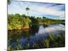 Mangrove Wetland Habitat, Merritt Island National Wildlife Refuge, Florida, USA-Adam Jones-Mounted Photographic Print