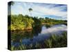 Mangrove Wetland Habitat, Merritt Island National Wildlife Refuge, Florida, USA-Adam Jones-Stretched Canvas
