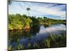 Mangrove Wetland Habitat, Merritt Island National Wildlife Refuge, Florida, USA-Adam Jones-Mounted Photographic Print