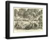 Mangrove-null-Framed Giclee Print