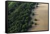 Mangroves. Georgetown Area, Guyana-Pete Oxford-Framed Stretched Canvas