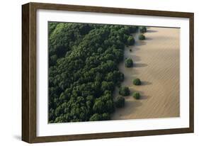 Mangroves. Georgetown Area, Guyana-Pete Oxford-Framed Photographic Print