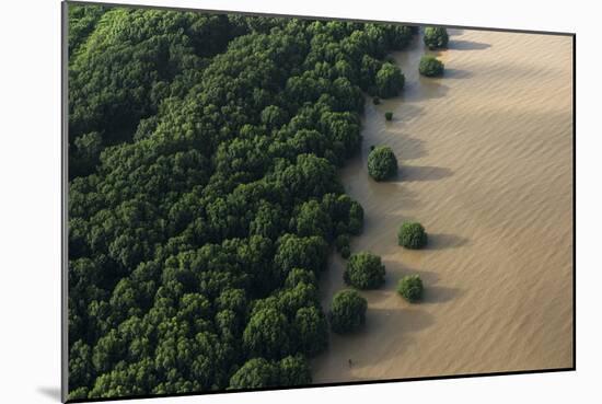 Mangroves. Georgetown Area, Guyana-Pete Oxford-Mounted Photographic Print