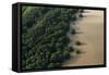 Mangroves. Georgetown Area, Guyana-Pete Oxford-Framed Stretched Canvas