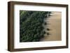 Mangroves. Georgetown Area, Guyana-Pete Oxford-Framed Photographic Print