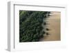 Mangroves. Georgetown Area, Guyana-Pete Oxford-Framed Photographic Print