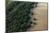 Mangroves. Georgetown Area, Guyana-Pete Oxford-Mounted Photographic Print