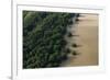 Mangroves. Georgetown Area, Guyana-Pete Oxford-Framed Photographic Print