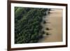 Mangroves. Georgetown Area, Guyana-Pete Oxford-Framed Photographic Print