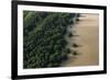 Mangroves. Georgetown Area, Guyana-Pete Oxford-Framed Photographic Print