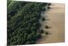 Mangroves. Georgetown Area, Guyana-Pete Oxford-Mounted Photographic Print