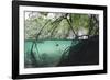 Mangroves Trees above and Underwater-Reinhard Dirscherl-Framed Photographic Print