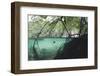 Mangroves Trees above and Underwater-Reinhard Dirscherl-Framed Photographic Print