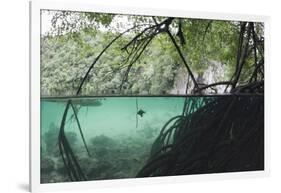 Mangroves Trees above and Underwater-Reinhard Dirscherl-Framed Photographic Print